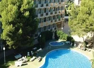Sol D'or